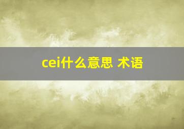 cei什么意思 术语